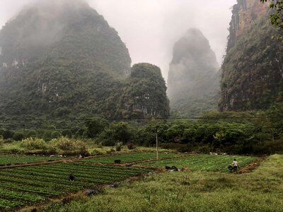 Agriculture China crops photo
