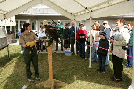 Environmental educator with Bald Eagle-1