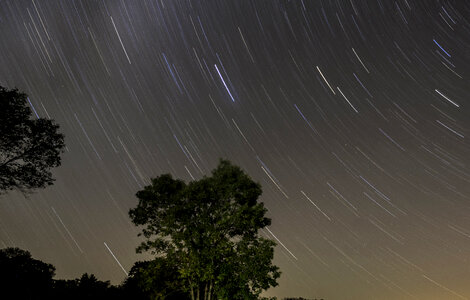 Star Trails Above the Trees at Blackhawk Lake, Wisconsin photo