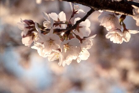 Fragrance