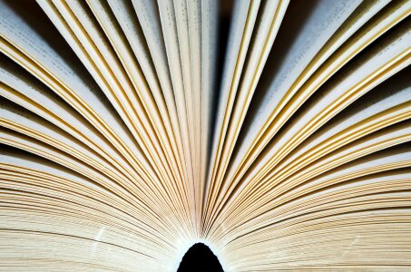 Pages books adventure