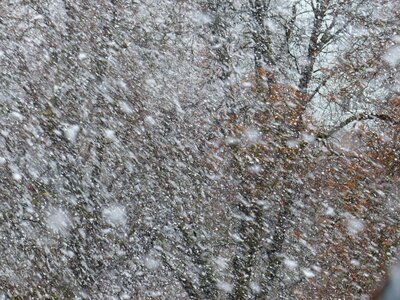 Snowfall snow storms winter photo