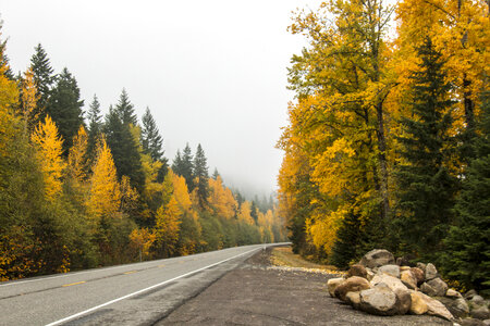 Roadway between the autumn trees photo