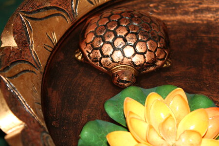 Tortoise In Water Feng Shui photo