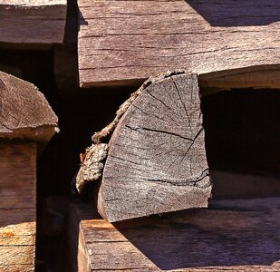 Sawn timber stocks winter photo