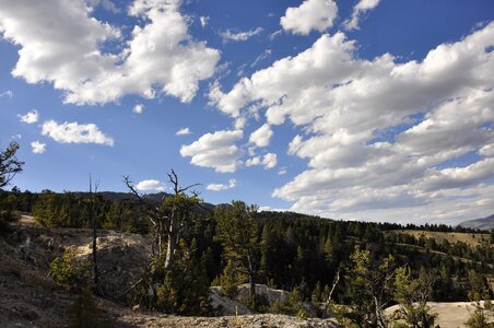 Yellowstone National Park photo