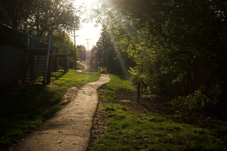 Deciduous Forest