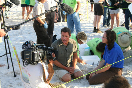 Turtle nest excavation and relocation-2