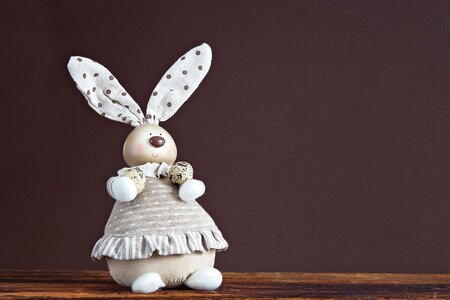 Beautiful Photo bunny decoration photo