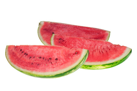 watermelon photo