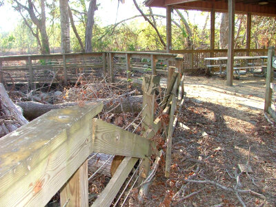 Damage to Ridge Trail after Hurricane Katrina-1 photo