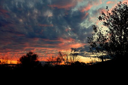 Storm trees weather photo