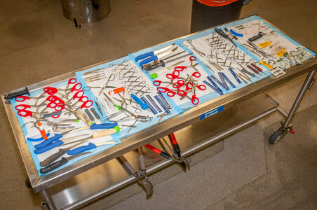 Marine Mammal Stranding Course at NCTC-6
