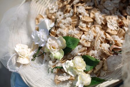 White Flower miniature roses photo