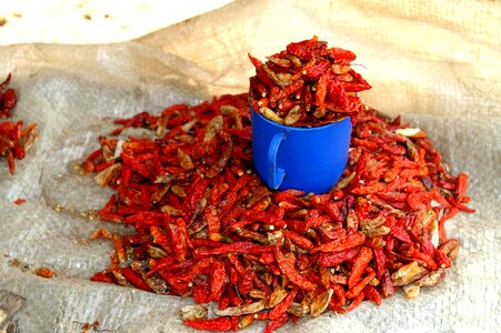 Chili market sale