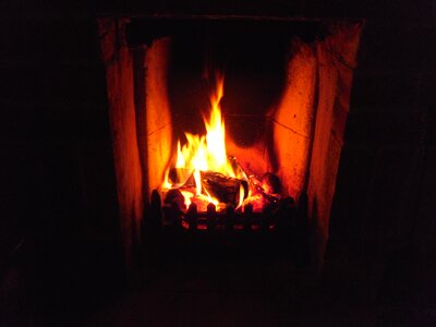 Wood night time