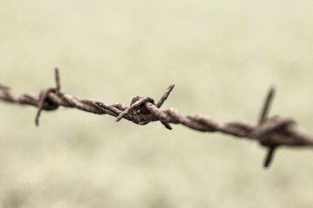 Barbed Wire fence iron photo