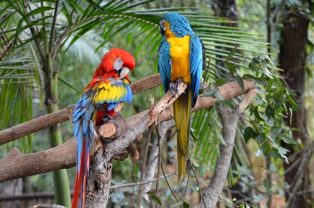 Bright colorful colourful