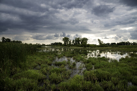 Watery Marsh Landscape Under the Clouds photo