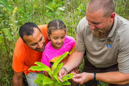 FWS employee shows a young girl (and dad) a Monarch caterpillar-1