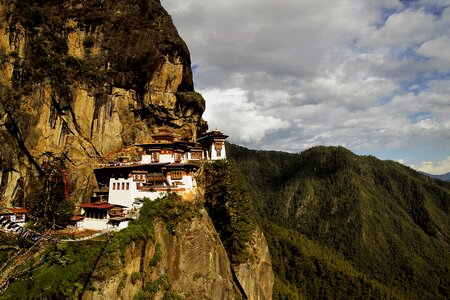 Buddha buddhism temple photo