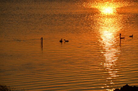 Lake sunset evening