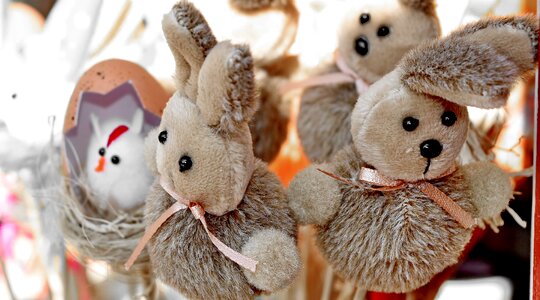 Teddy Bear Toy bunny toy photo