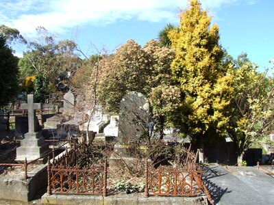 Grave  
