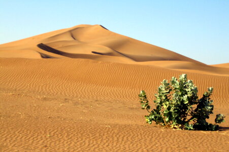 Morocco Sand dunes of Sahara desert photo