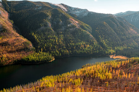 Flathead National Forest in Montana