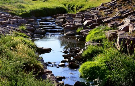 Creek green grass landscape