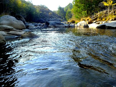 Creek environment foliage