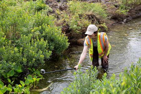 Fish and Wildlife employee photographs baby salmon