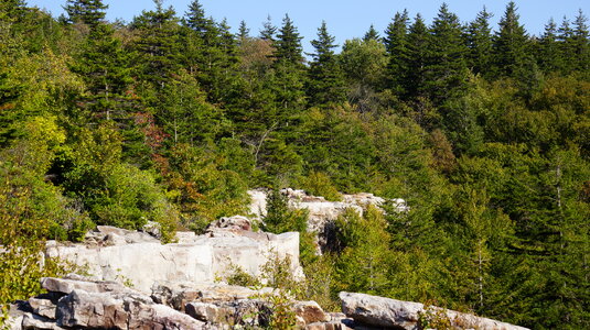 Dolly Sods Rohrbaugh Plains