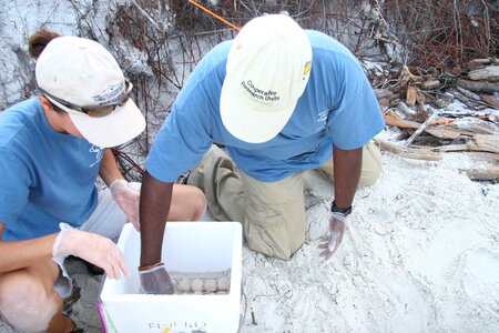 Sand scientists 