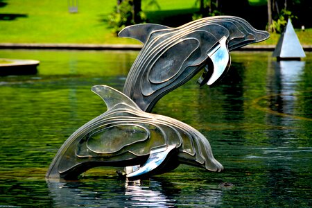 Animals aquatic architecture