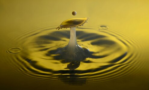 Macro impact experiment yellow