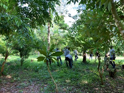 People men garden photo