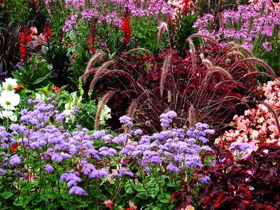 Tiresome flowers bed