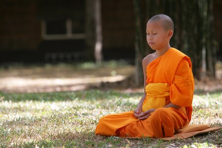 Meditate wat phra dhammakaya photo
