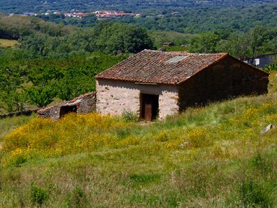 Landscape nature pastures photo