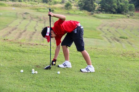 Golf Ball golf grass photo