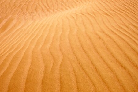 Desolation dune munwi