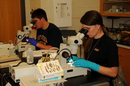Students in the classroom lab-2