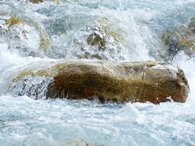 Cold murmur roaring