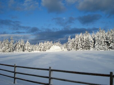 Calming landscape wilderness