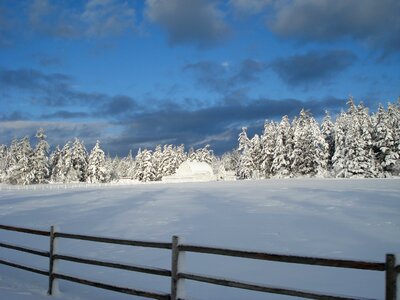 Calming landscape wilderness photo