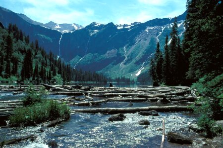 Avalanche Lake Glacier National Park photo