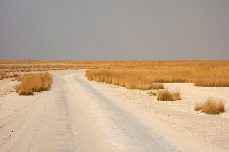 Road trail desert