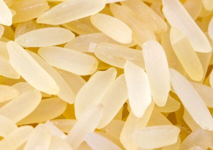 Corn meal food